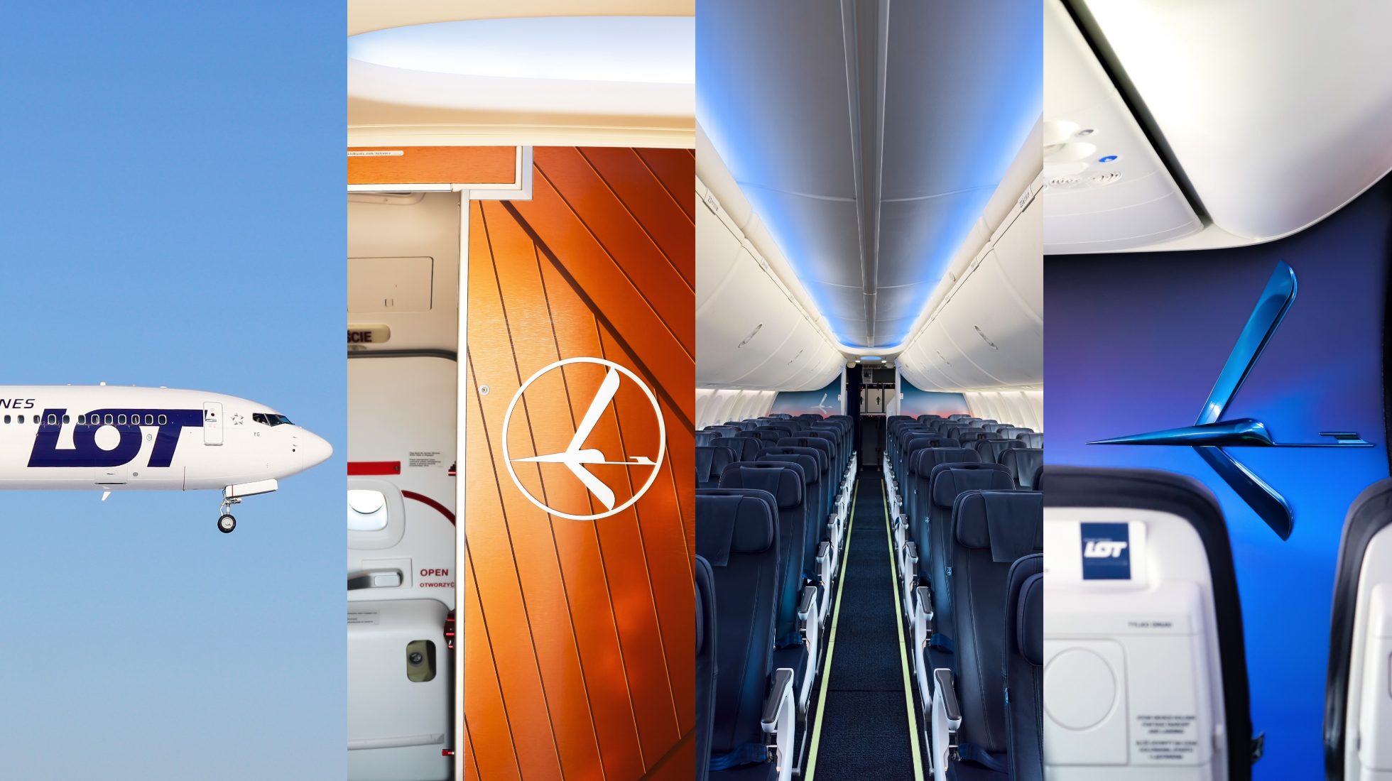 The interior of a Boeing 737 MAX 8 aircraft with a new cabin – a wall with a white crane logo imitating wooden panelling. Metallic blue 3D crane logo. Row of seats in a 3:3 configuration.