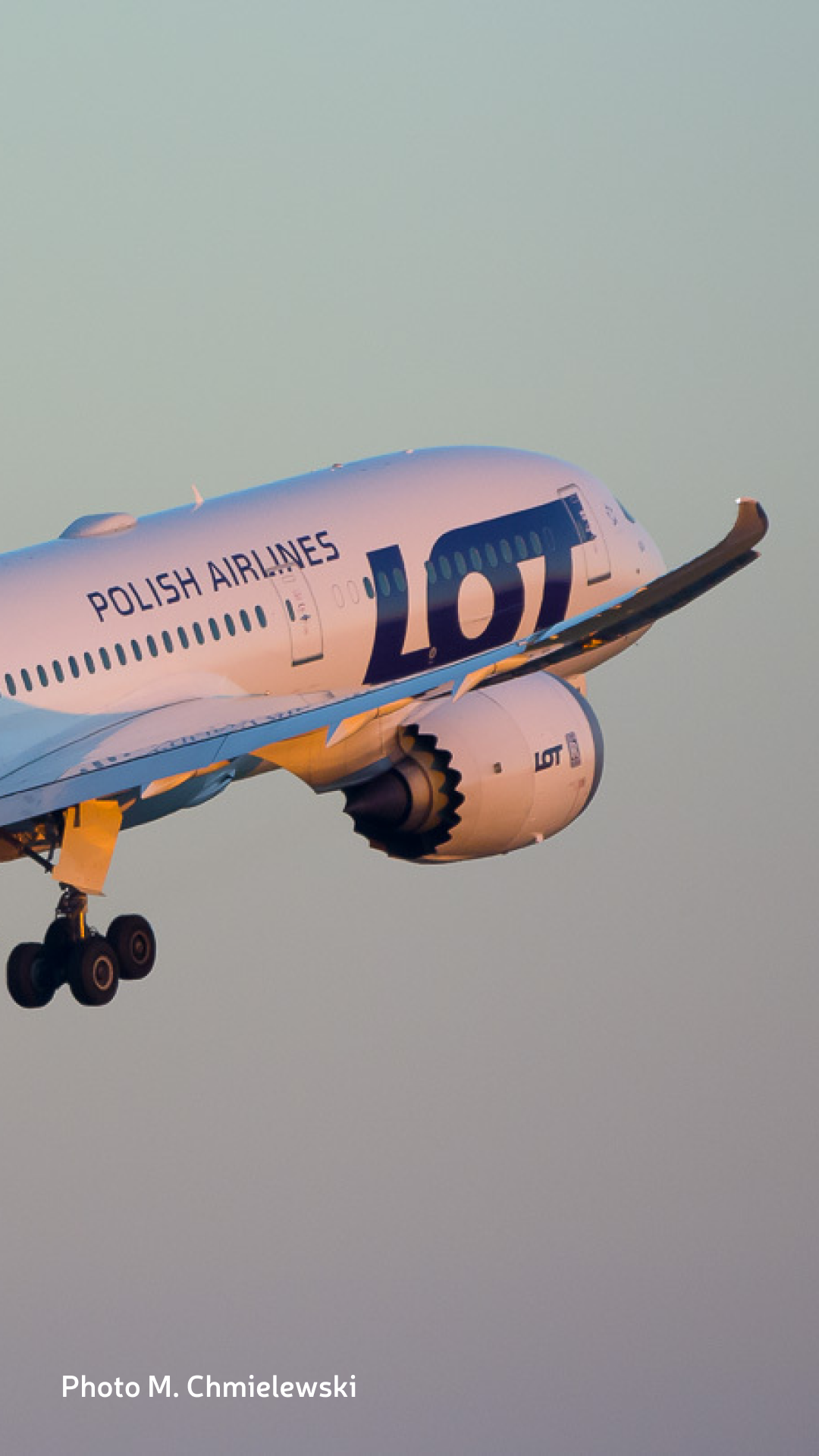 Dreamliner airplane floating in the pink sky