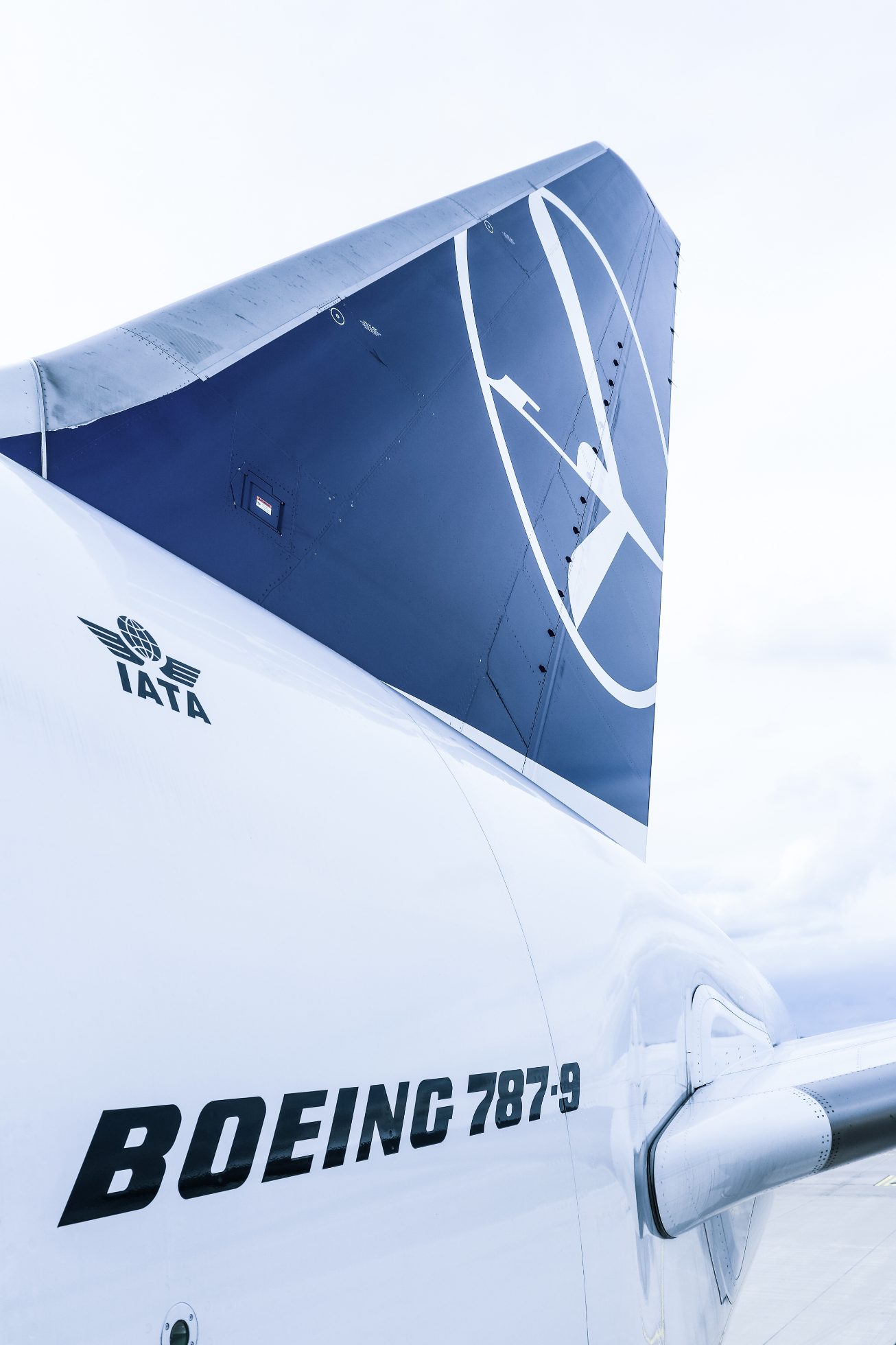 Mobile wallpaper: tail of Boeing 787 Dreamliner
