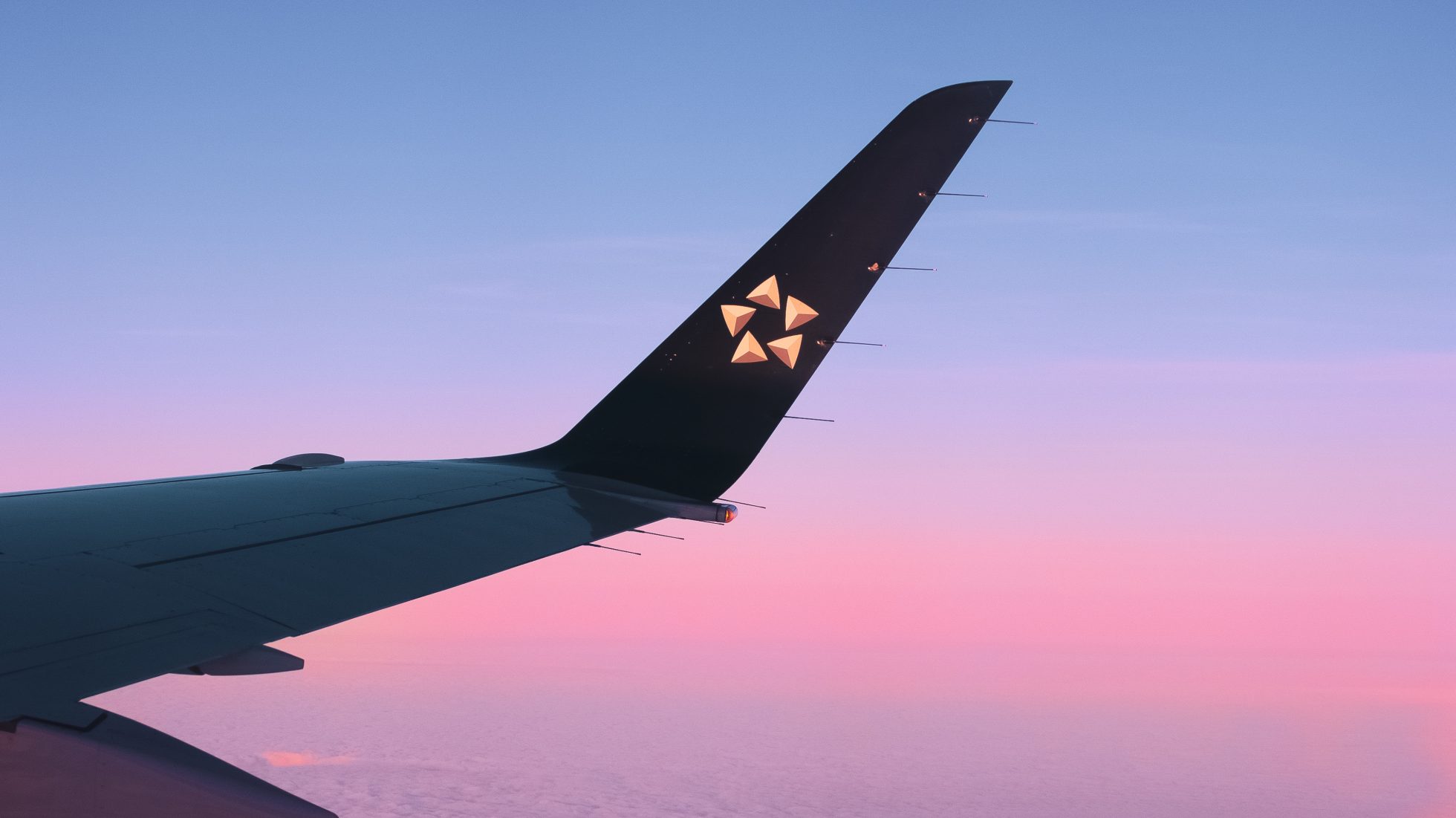 LOT Embraer 175 winglet with Star Alliance Logo