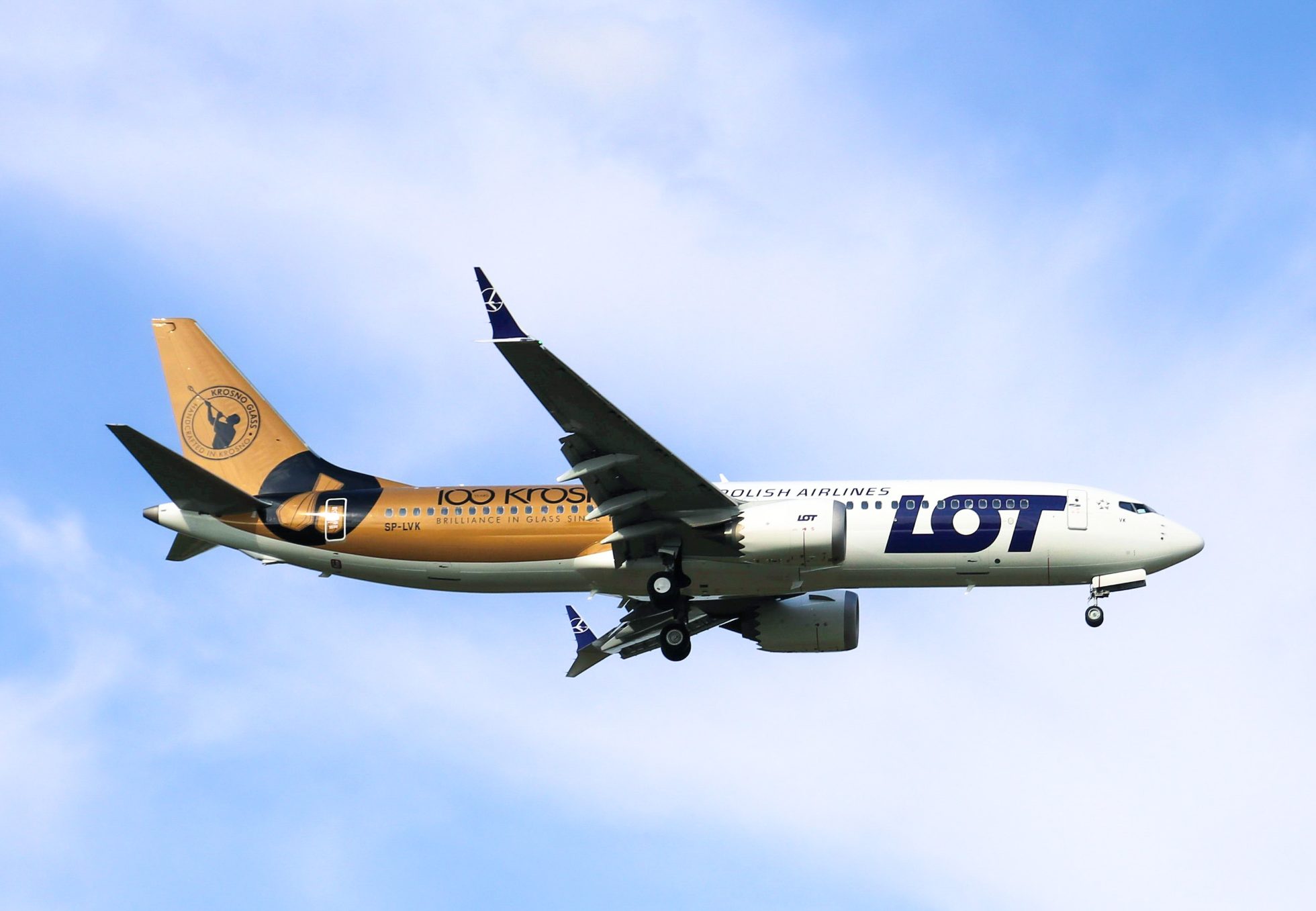 Boeing 737 MAX with unique special livery against the sky.