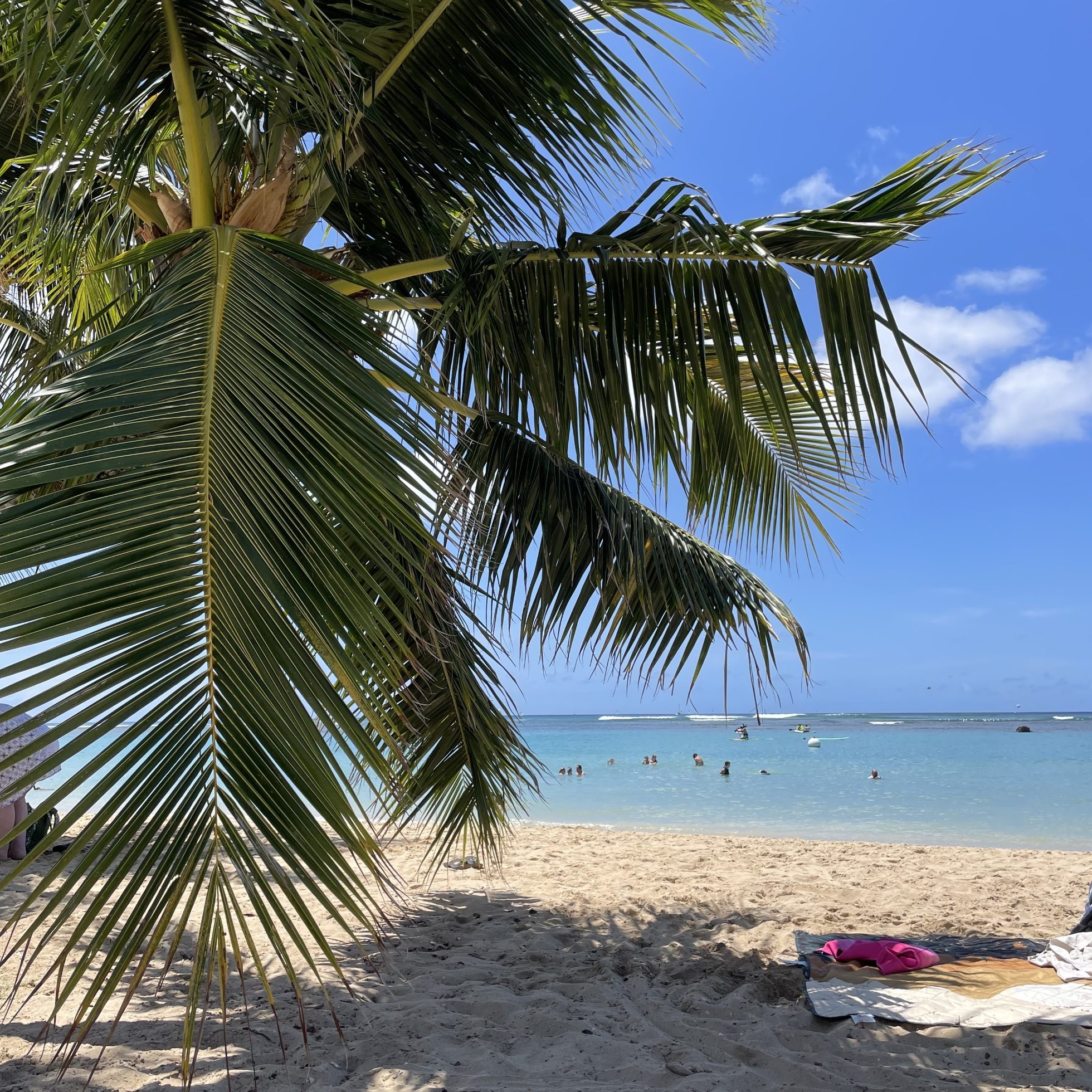 Plaża Ala Moana w Honolulu