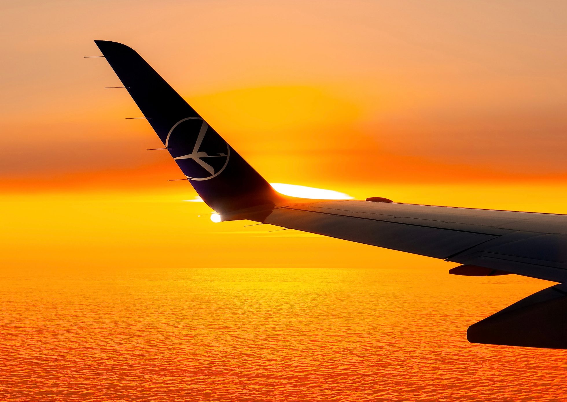 LOT airplane wing with characteristic logo.