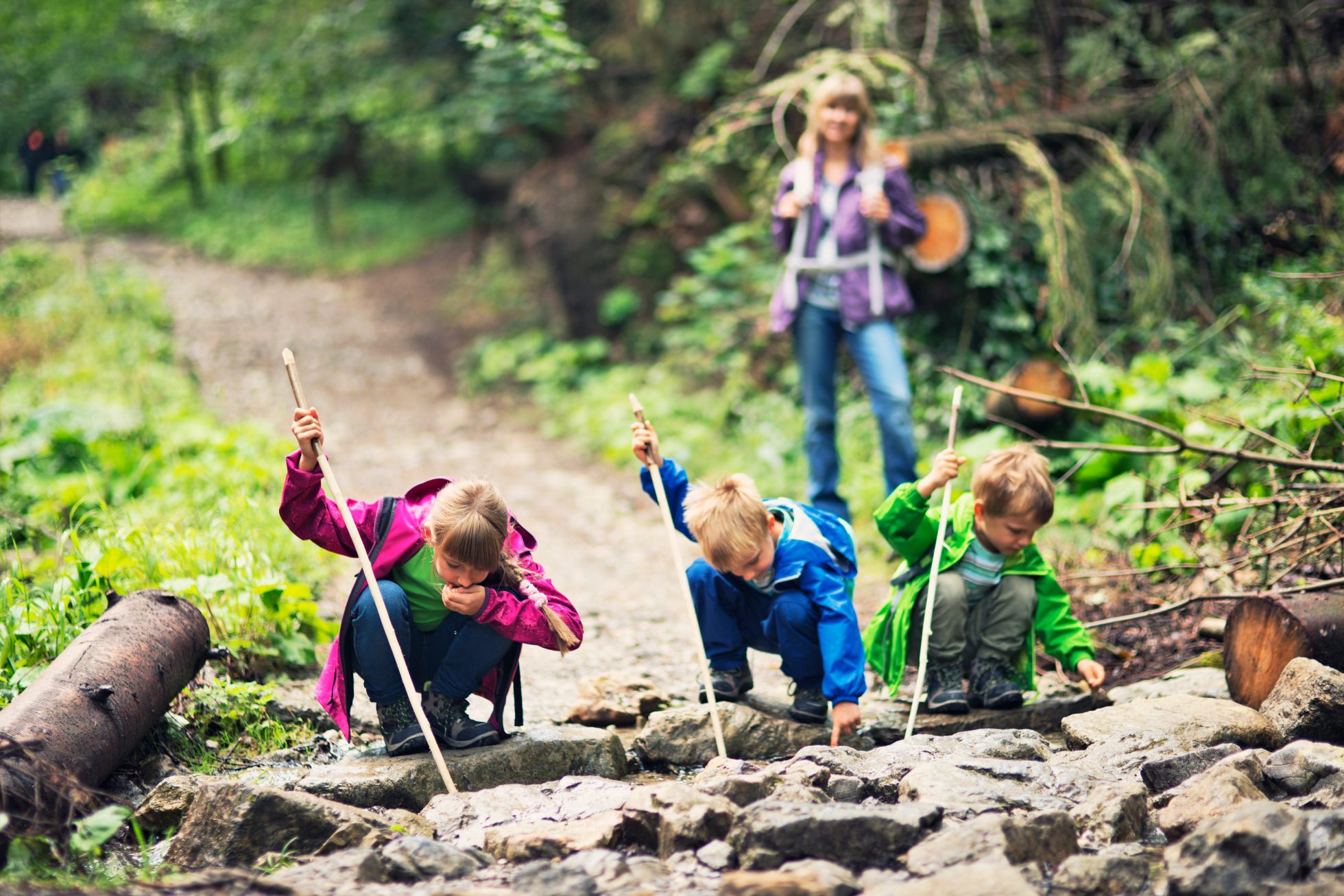 Three children, aged 10 and 7, have fun while hiking in the fields and meadows of the Gorce Mountains. In the background are gentle, sloping hills covered with mixed forest. The kids run against a wooden fence.